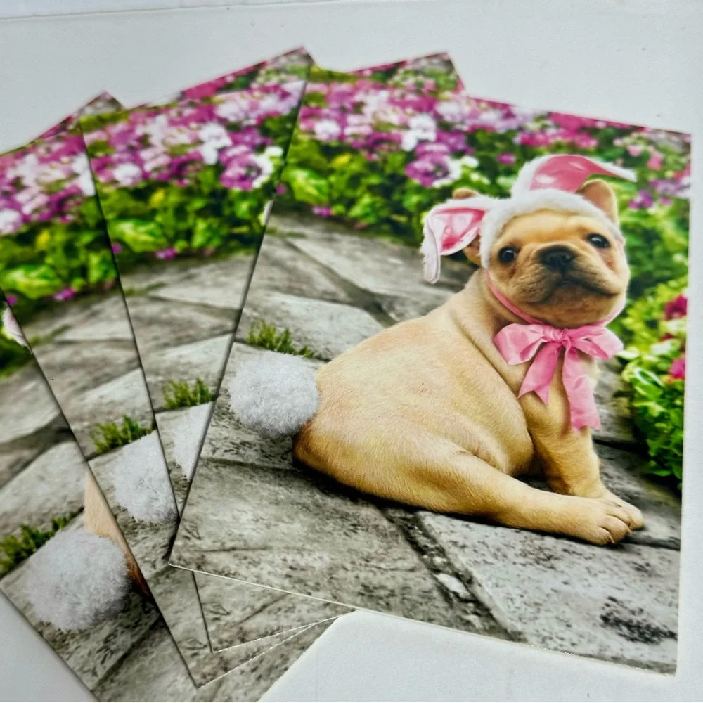 4 Avanti Greeting cards - puppy dog with bunny ears on stone path Easter